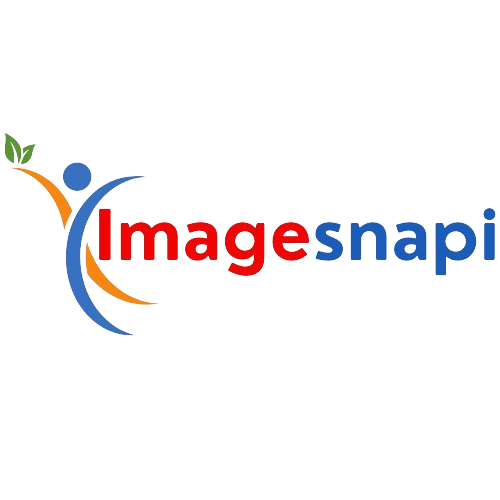 Imagesnapi