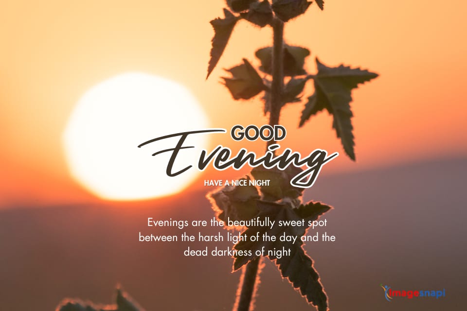Good Evening