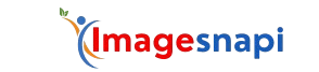 imagesnapi-logo